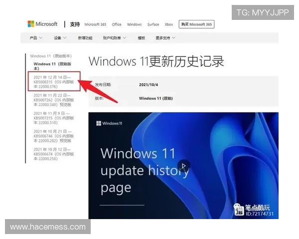 lt官网入口官方最新版本下载及更新指南，确保用户使用最新版本体验最佳服务