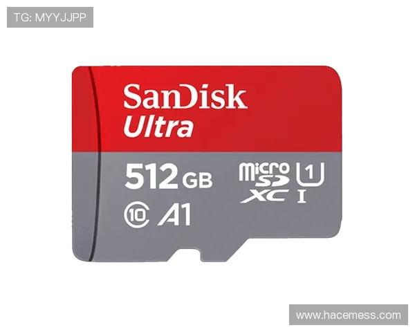 letou官网官方平台介绍，全面解析平台特色与用户保障措施