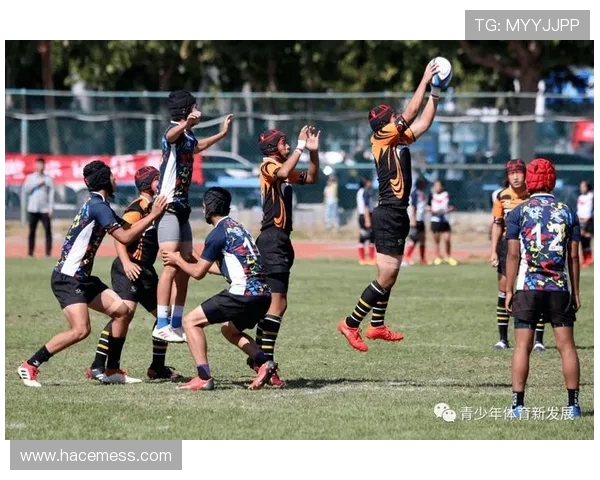 le投体育：探索体育投资新机遇，开启财富增长新篇章