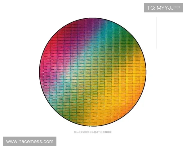 乐冠体育平台：提供个性化运动健康管理的智能平台