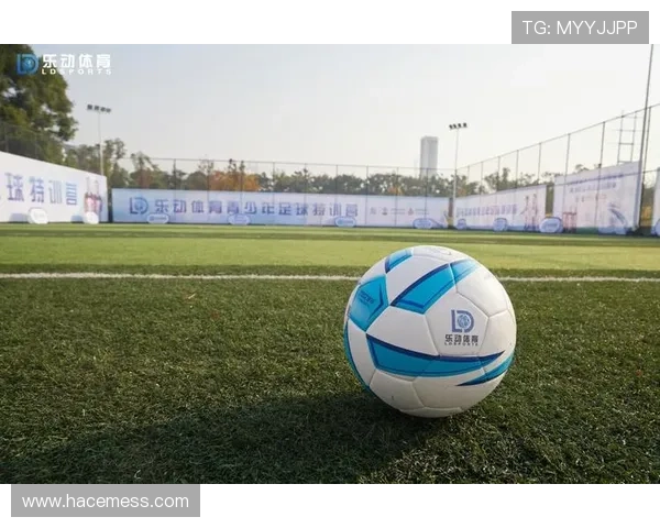 乐动体育赛事：专业赛事组织保障体育赛事的高效与安全