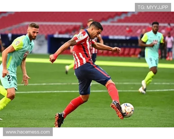 乐竞体育官方官网的客户服务与反馈渠道全面解析确保你的疑问及时解决