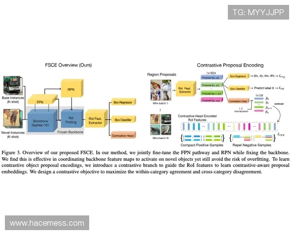 乐鱼鲍勃体育：多角度解读体育赛事中的战术与策略分析